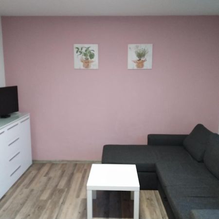 Apartmány Kovadlina 4 Frymburk Exterior foto